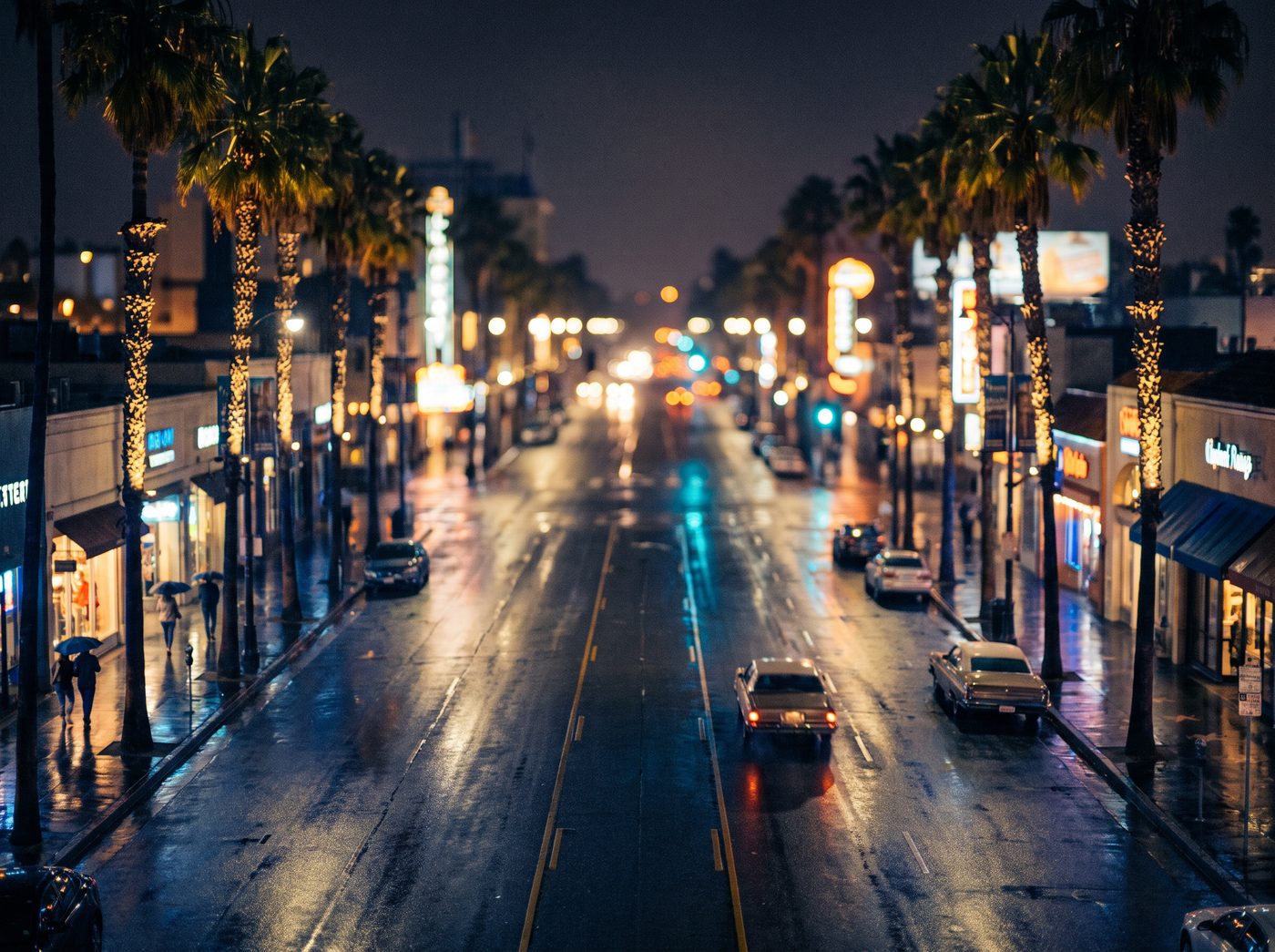 A rain-slicked California boulevard at night lined with lit palm trees
